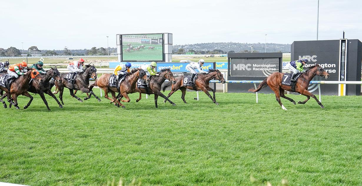 Winston - Mornington 23rd October 2025